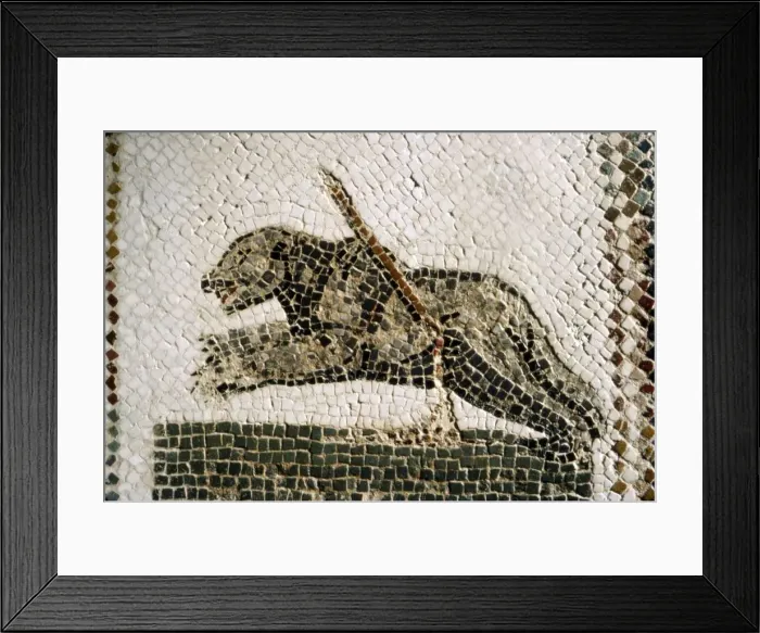 Framed Print : Roman Mosaic detail of Bear, from Diana the Huntress, Thuburbo Majus, Tunisia, c4th century Framed Print : Roman Mosaic detail of Bear, from Diana the Huntress, Thuburbo Majus, Tunisia, c4th century