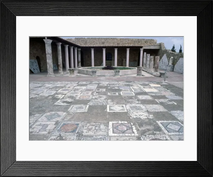 Framed Print : Mosaic at the Roman Villas, Carthage, Tunisia, c2nd-3rd century Framed Print : Mosaic at the Roman Villas, Carthage, Tunisia, c2nd-3rd century