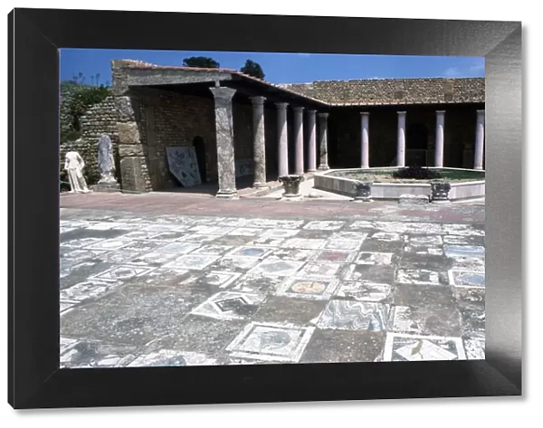 Mosaic at the Roman Villas, Carthage, Tunisia, c2nd-3rd century