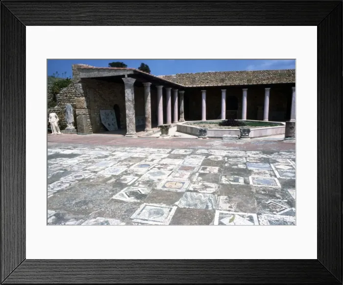 Framed Print : Mosaic at the Roman Villas, Carthage, Tunisia, c2nd-3rd century Framed Print : Mosaic at the Roman Villas, Carthage, Tunisia, c2nd-3rd century