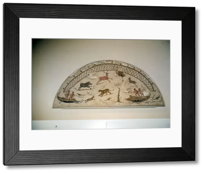 Framed Print : Hunting animals with net, Roman mosaic from Carthage, c3rd century Framed Print : Hunting animals with net, Roman mosaic from Carthage, c3rd century