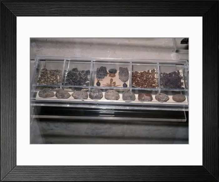 Framed Print : Egyptian Food from tombs. Grain, bread, beans as Funerary offerings Framed Print : Egyptian Food from tombs. Grain, bread, beans as Funerary offerings