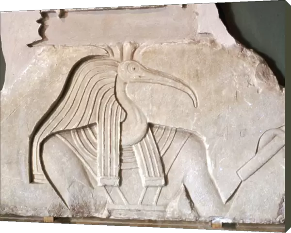 Thoth: Egyptian God: Ibis headed. Vatican