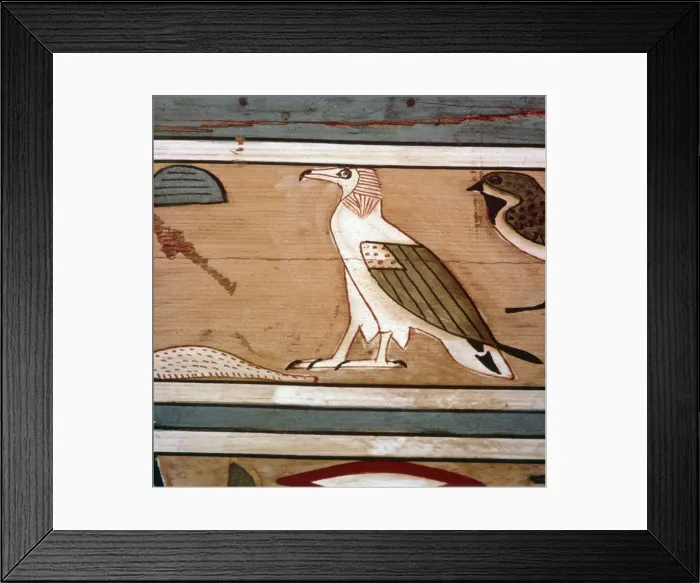 Framed Print : Vulture on the inner wall of coffin of steward, Seni from El Bersha, Egypt, c2000 BC Framed Print : Vulture on the inner wall of coffin of steward, Seni from El Bersha, Egypt, c2000 BC