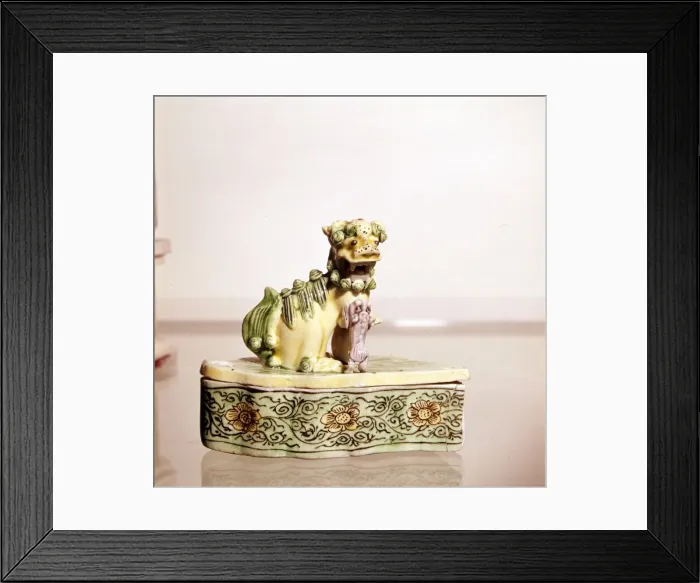 Framed Print : Lion, Chinese Porcelain Framed Print : Lion, Chinese Porcelain