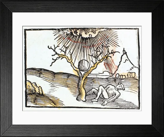 Framed Print : Thunderbolt or lightning, 1508 Framed Print : Thunderbolt or lightning, 1508