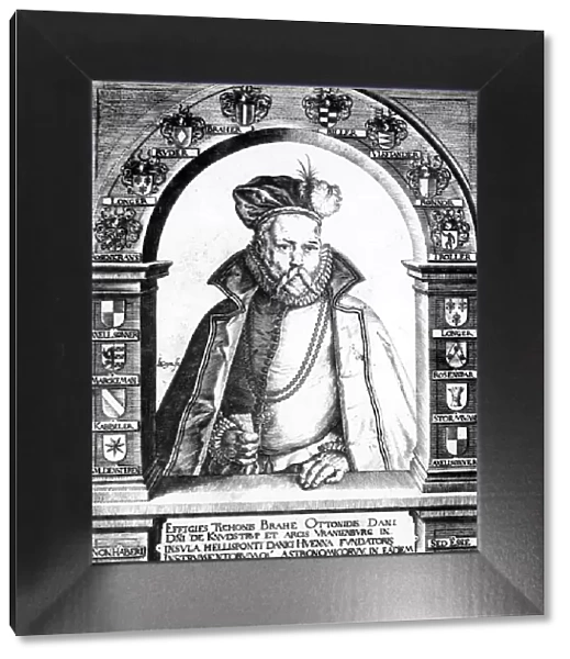 Tycho Brahe, Danish astronomer, c1586
