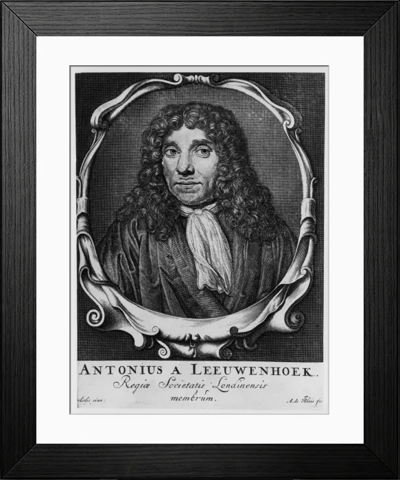 Framed Print : Antoni van Leeuwenhoek, Dutch pioneer of microscopy, c1660. Artist: Abraham de Blois