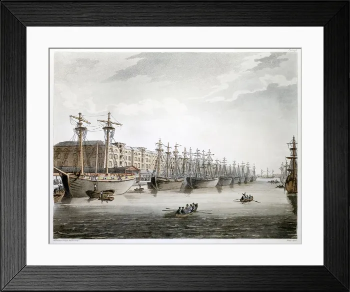 Framed Print : West India Docks, London, 1808-1810. Artist: Augustus Charles Pugin Framed Print : West India Docks, London, 1808-1810. Artist: Augustus Charles Pugin