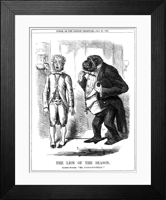 Framed Print : The Lion of the Season, 1861. Artist: John Leech Framed Print : The Lion of the Season, 1861. Artist: John Leech