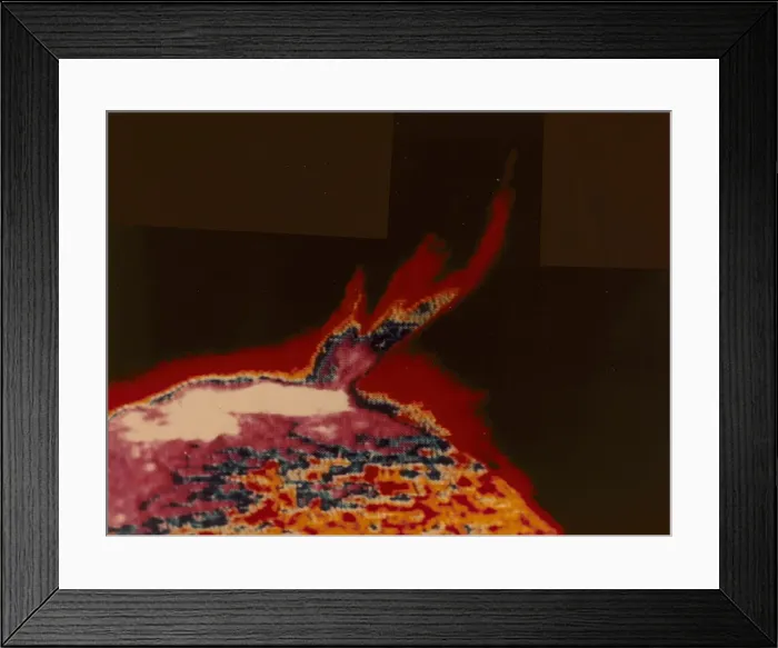 Framed Print : False colour image of a solar flare from Skylab, 1973 Framed Print : False colour image of a solar flare from Skylab, 1973