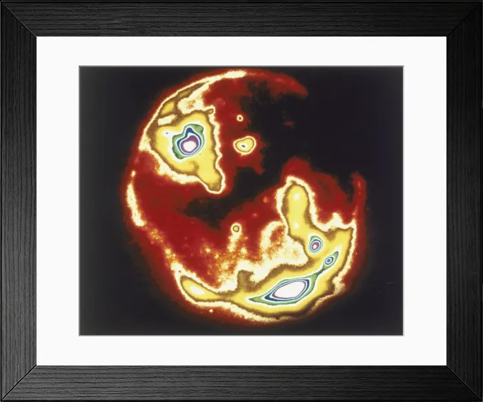Framed Print : X-ray image of sun, Skylab, 1970s Framed Print : X-ray image of sun, Skylab, 1970s