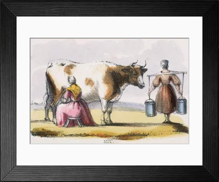 Framed Print : Milk, c1845. Artist: Benjamin Waterhouse Hawkins Framed Print : Milk, c1845. Artist: Benjamin Waterhouse Hawkins