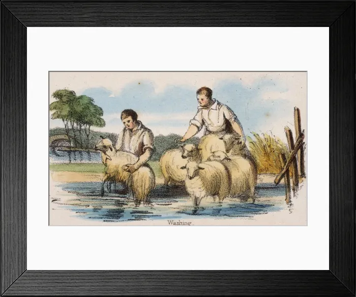 Framed Print : Washing, c1845. Artist: Robert Kent Thomas Framed Print : Washing, c1845. Artist: Robert Kent Thomas
