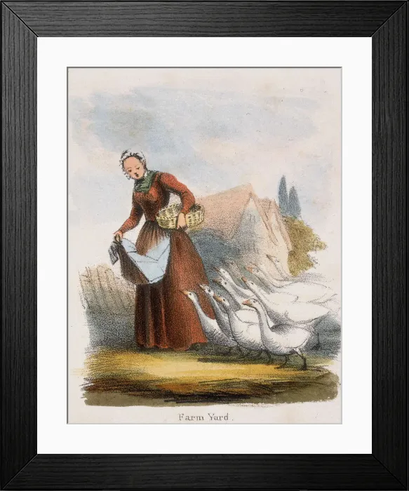 Framed Print : Farm Yard, c1845. Artist: Benjamin Waterhouse Hawkins Framed Print : Farm Yard, c1845. Artist: Benjamin Waterhouse Hawkins