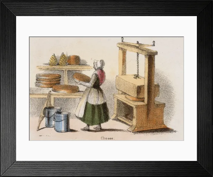 Framed Print : Cheese, c1845. Artist: Benjamin Waterhouse Hawkins Framed Print : Cheese, c1845. Artist: Benjamin Waterhouse Hawkins