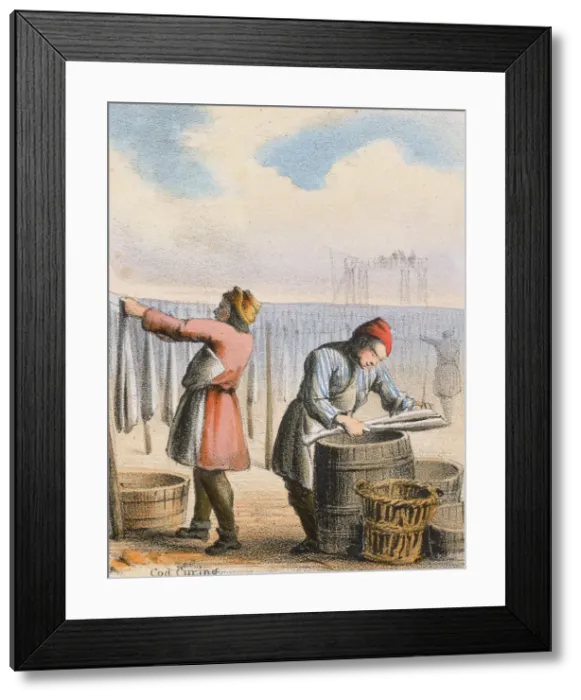 Framed Print : Cod Curing, c1845. Artist: Benjamin Waterhouse Hawkins Framed Print : Cod Curing, c1845. Artist: Benjamin Waterhouse Hawkins