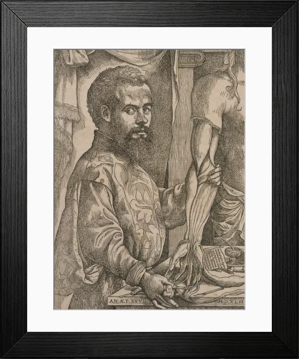 Framed Print : Andreas Vesalius dissecting the muscles of the forearm of a cadaver, 1543. Artist: Steven van Calcar Framed Print : Andreas Vesalius dissecting the muscles of the forearm of a cadaver, 1543. Artist: Steven van Calcar