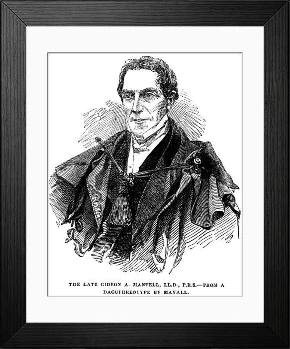 Framed Print : Gideon Algernon Mantell, English geologist, 1852 Framed Print : Gideon Algernon Mantell, English geologist, 1852