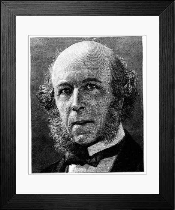 Framed Print : Herbert Spencer, English philosopher and sociologist, 1897 Framed Print : Herbert Spencer, English philosopher and sociologist, 1897