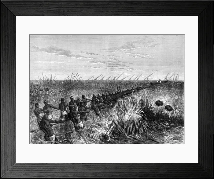 Framed Print : Samuel Bakers boat hauled through river grass, 1864 (1874) Framed Print : Samuel Bakers boat hauled through river grass, 1864 (1874)