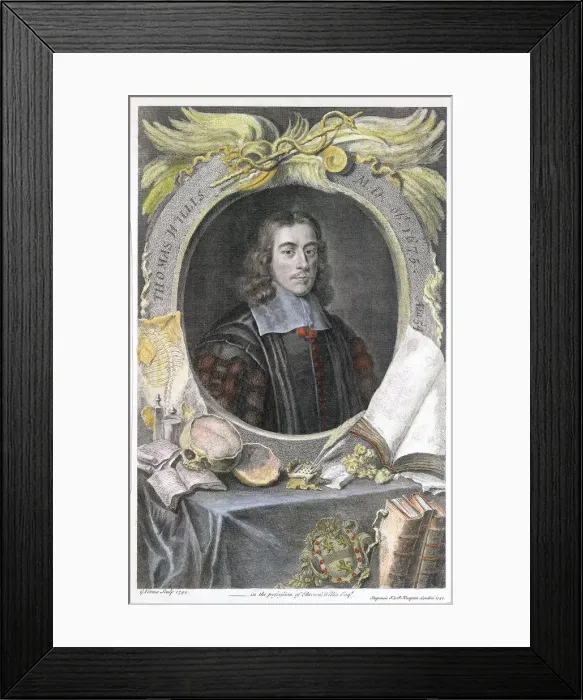 Framed Print : Thomas Willis, 17th century English physician, 1742. Artist: George Vertue Framed Print : Thomas Willis, 17th century English physician, 1742. Artist: George Vertue