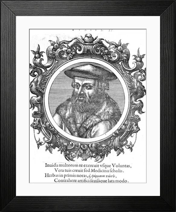 Framed Print : Leonhard Fuchs, German botanist and physician Framed Print : Leonhard Fuchs, German botanist and physician