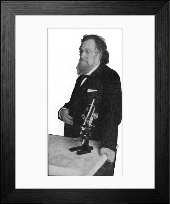 Framed Print : Ilya Ilich Mechnikov, Russian microbiologist Framed Print : Ilya Ilich Mechnikov, Russian microbiologist