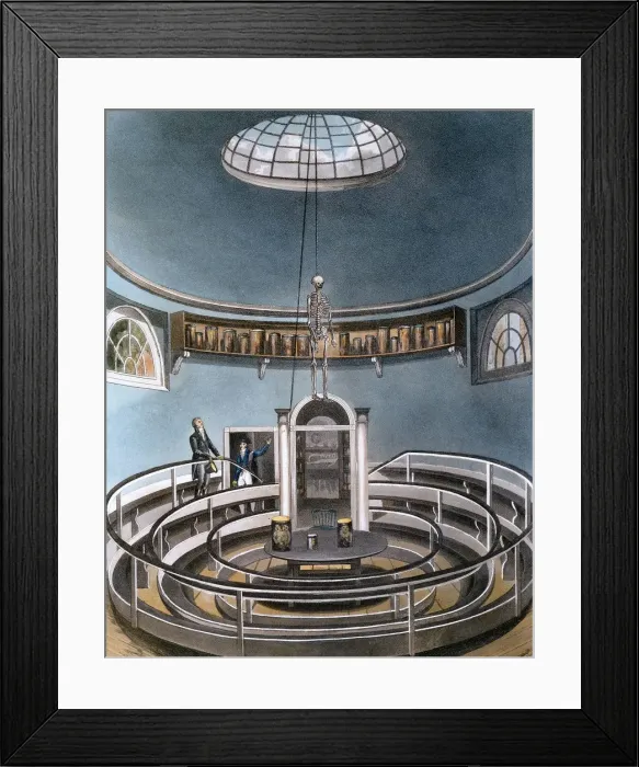 Framed Print : Theatre of Anatomy, Cambridge, 1815 Framed Print : Theatre of Anatomy, Cambridge, 1815