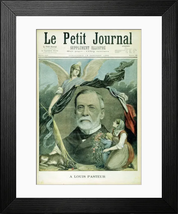 Framed Print : Louis Pasteur, French chemist, 1895 Framed Print : Louis Pasteur, French chemist, 1895