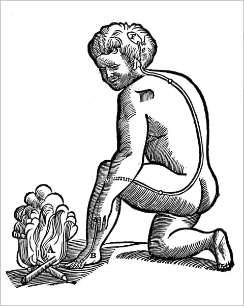 Involuntary movement, Descartes idea of how impulses from the limbs reach the brain, 1692