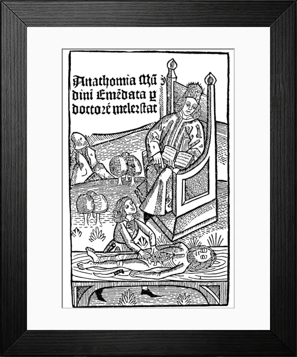 Framed Print : Anatomy demonstration, 1493 Framed Print : Anatomy demonstration, 1493