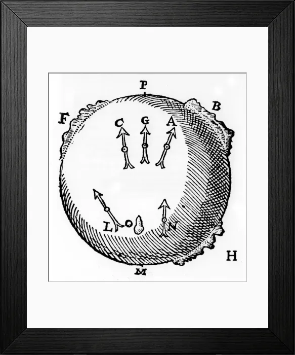 Framed Print : Magnetism, 1600 Framed Print : Magnetism, 1600
