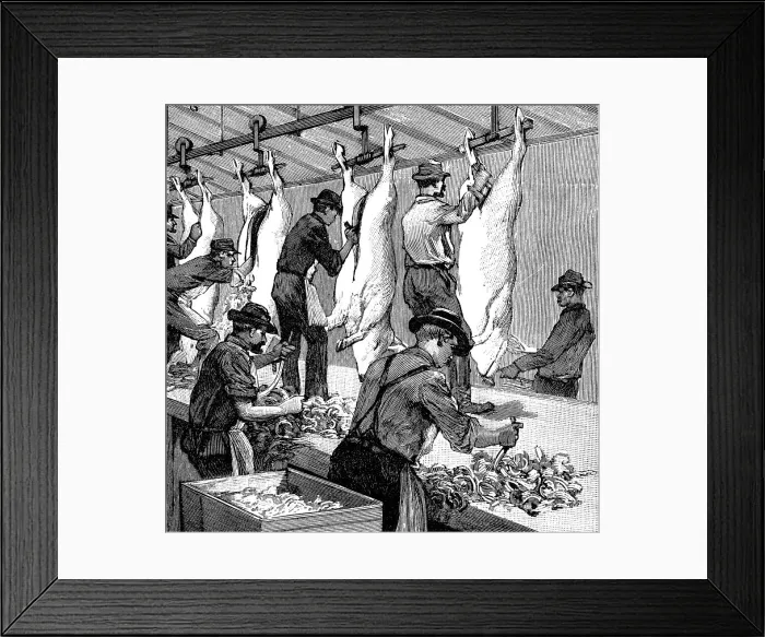 Framed Print : Armour Companys pig slaughterhouse, Chicago, Illinois, USA, 1892 Framed Print : Armour Companys pig slaughterhouse, Chicago, Illinois, USA, 1892