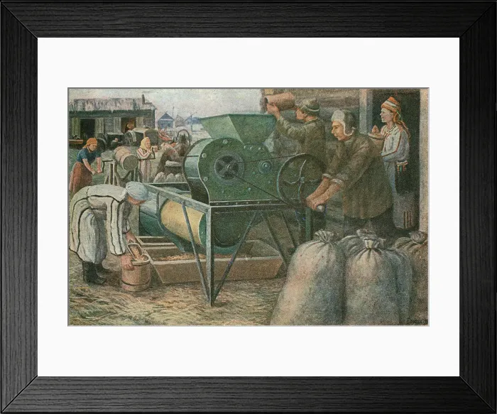 Framed Print : The Fight for the Harvest : sorting of seeds in a Mordva collective farm, 1933 Framed Print : The Fight for the Harvest : sorting of seeds in a Mordva collective farm, 1933