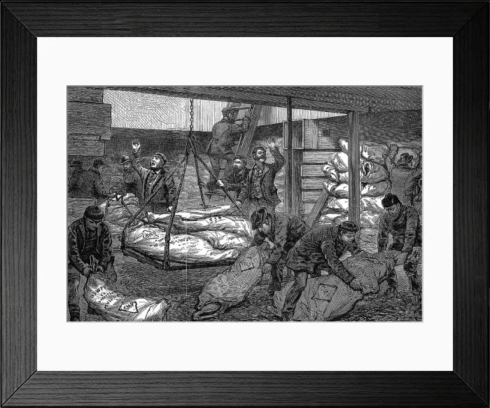 Framed Print : Unloading frozen meat from Australia, South West India Dock, Millwall, London, 1881 Framed Print : Unloading frozen meat from Australia, South West India Dock, Millwall, London, 1881