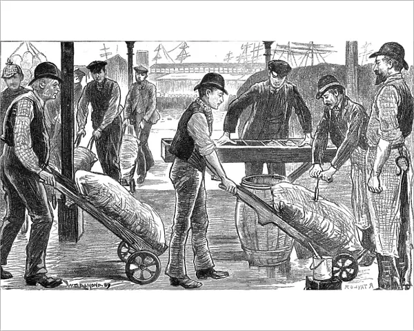Dockers unloading sugar at West India Docks, London, 1889