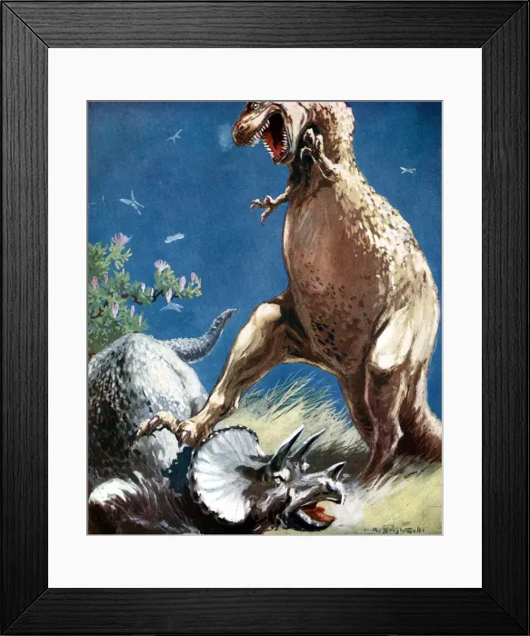 Framed Print : Triceratops, a horned dinosaur, held down by a Tyrannosaur, c1920 Framed Print : Triceratops, a horned dinosaur, held down by a Tyrannosaur, c1920