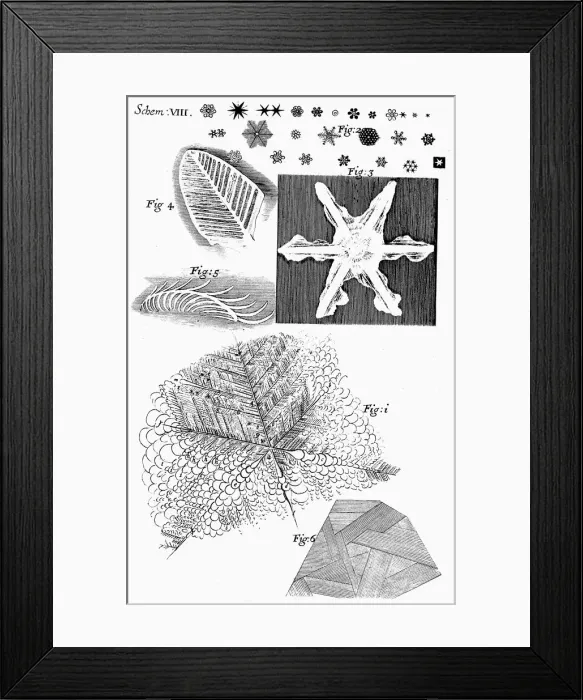 Framed Print : Frozen materials viewed by English microscopist Robert Hooke, 1665 Framed Print : Frozen materials viewed by English microscopist Robert Hooke, 1665