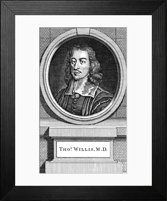 Framed Print : Thomas Willis, 17th century English physician, 1742. Artist: George Vertue Framed Print : Thomas Willis, 17th century English physician, 1742. Artist: George Vertue