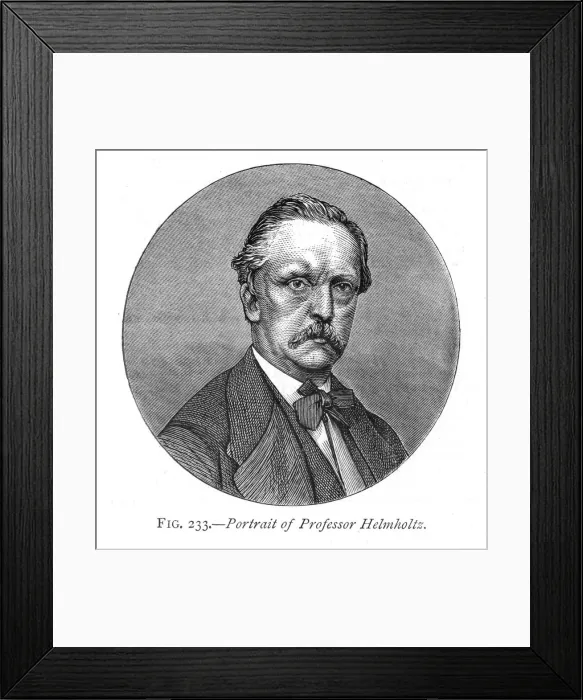 Framed Print : Hermann von Helmholtz (1821-1894), German physicist and physiologist, 1876 Framed Print : Hermann von Helmholtz (1821-1894), German physicist and physiologist, 1876