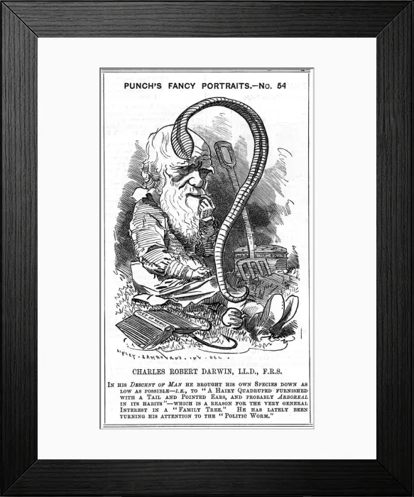 Framed Print : Charles Darwin, English naturalist, 1881. Artist: Edward Linley Sambourne