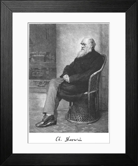 Framed Print : Charles Darwin, English naturalist, 1883 Framed Print : Charles Darwin, English naturalist, 1883