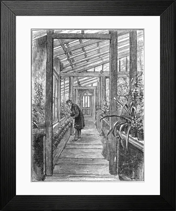 Framed Print : Charles Darwin (1809-1882), English naturalist, in his greenhouse