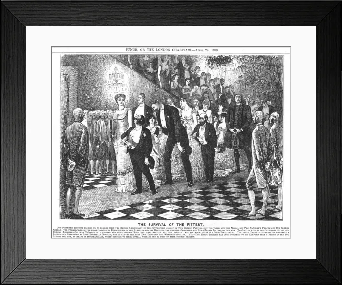 Framed Print : The Survival of the Fittest; application of Darwinism in the 21st century, 1880. Artist: George du Maurier Framed Print : The Survival of the Fittest; application of Darwinism in the 21st century, 1880. Artist: George du Maurier
