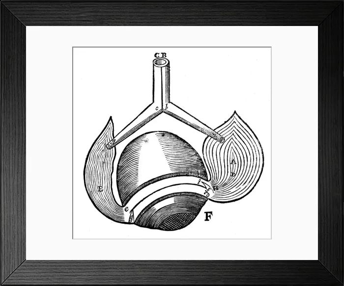 Framed Print : Descartes representation of the antagonistic eye muscles, 1692 Framed Print : Descartes representation of the antagonistic eye muscles, 1692