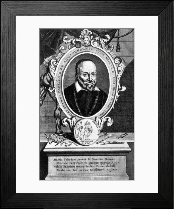 Framed Print : Girolamo Fabrici, Italian anatomist and surgeon, 17th century Framed Print : Girolamo Fabrici, Italian anatomist and surgeon, 17th century