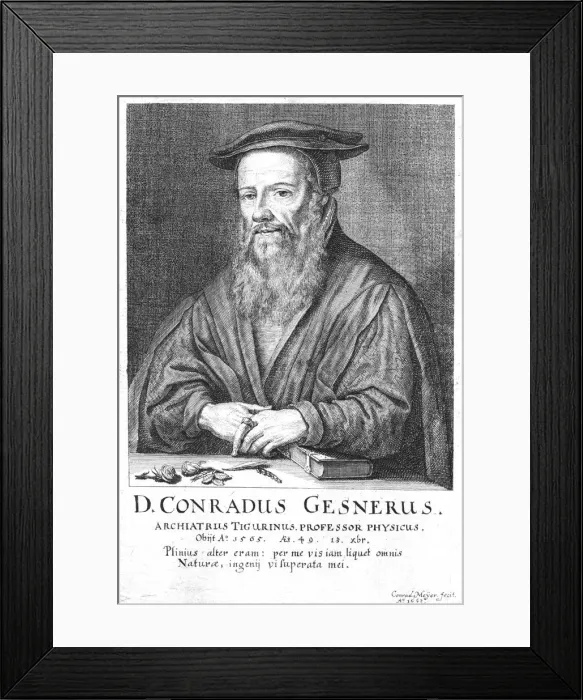 Framed Print : Conrad Gesner, 16th century Swiss physician and naturalist, 1662. Artist: Conrad Meyer Framed Print : Conrad Gesner, 16th century Swiss physician and naturalist, 1662. Artist: Conrad Meyer