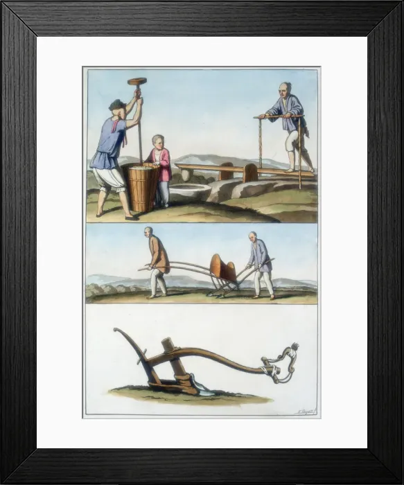 Framed Print : Chinese agriculture, 1825-1835 Framed Print : Chinese agriculture, 1825-1835