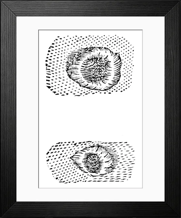 Framed Print : Galileos drawing of lunar craters, 1611, (c1655) Framed Print : Galileos drawing of lunar craters, 1611, (c1655)